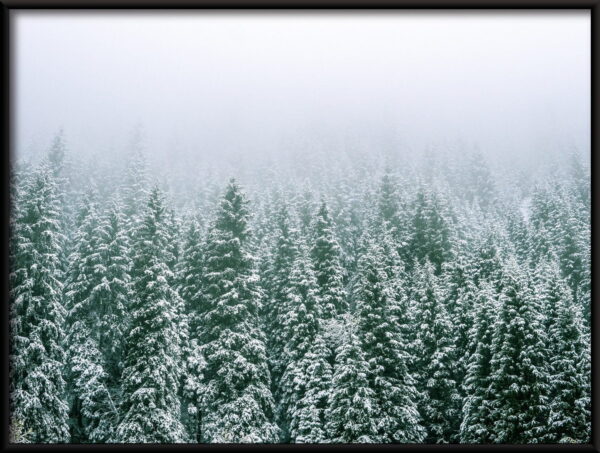 Affiche de la forêt d'hiver – Image 2