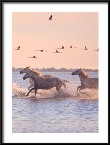 Affiche Chevaux en fuite – Image 3