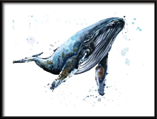 Affiche animaux marins