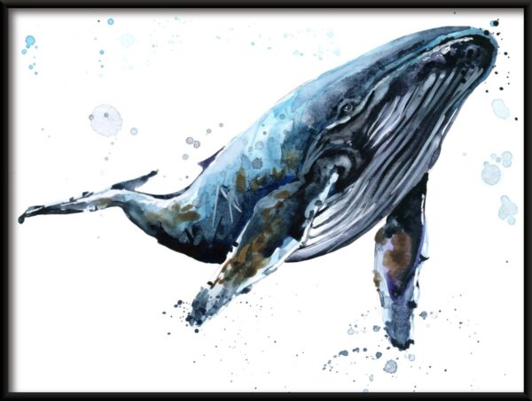 Affiche animaux marins – Image 2