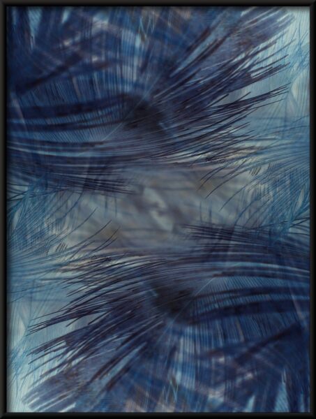 Affiche plumes bleu marine – Image 4