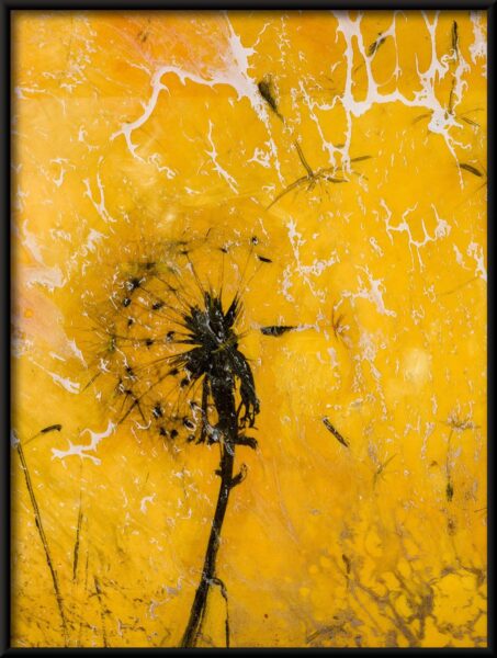 Pissenlits jaunes Poster – Image 4