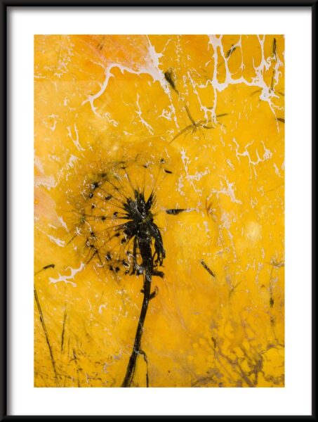 Pissenlits jaunes Poster – Image 3