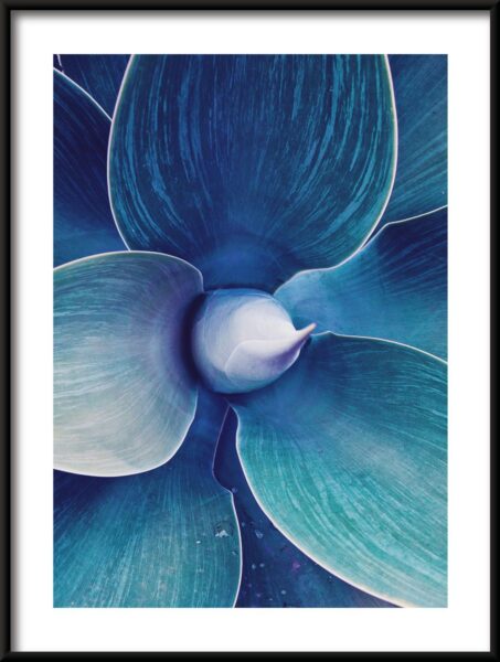 Feuilles d'agave Poster – Image 3