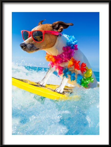 Chien sur une planche Poster – Image 3