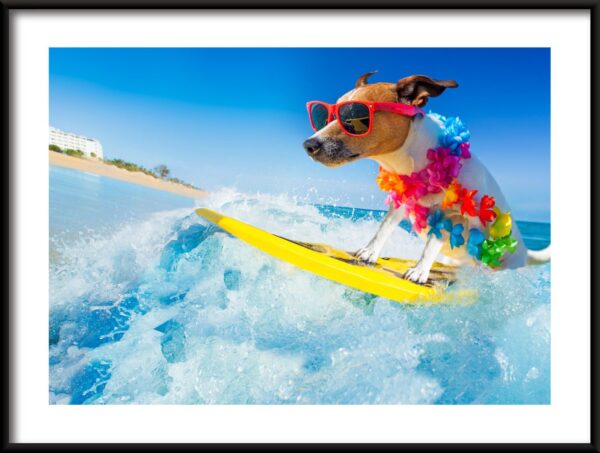 Chien sur une planche Poster