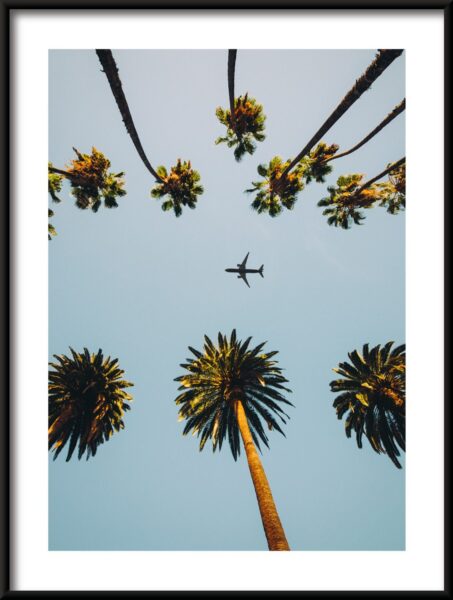 Avion au-dessus des palmiers Poster – Image 3