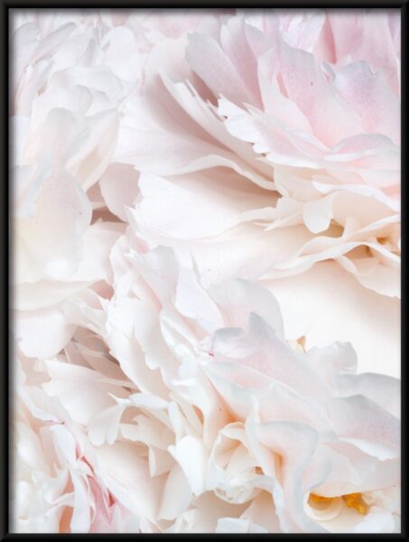 Pétales lumineux Poster – Image 4