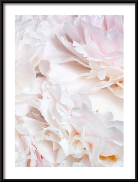 Pétales lumineux Poster – Image 3