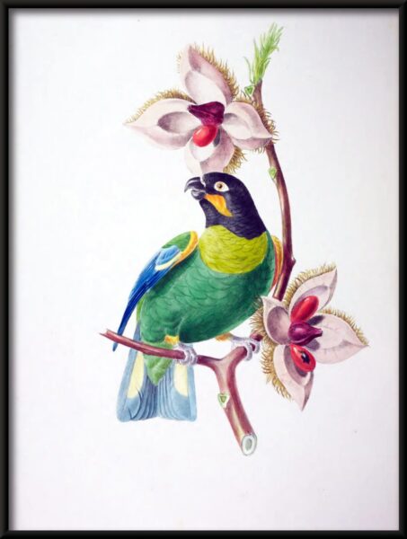 Affiche d'oiseau coloré – Image 2
