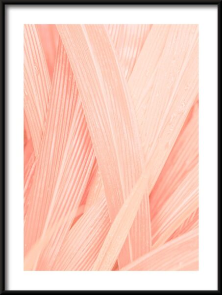 Feuilles roses Poster – Image 3