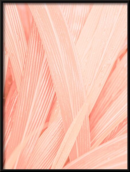 Feuilles roses Poster – Image 4