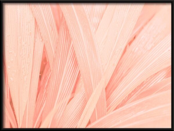Feuilles roses Poster – Image 2
