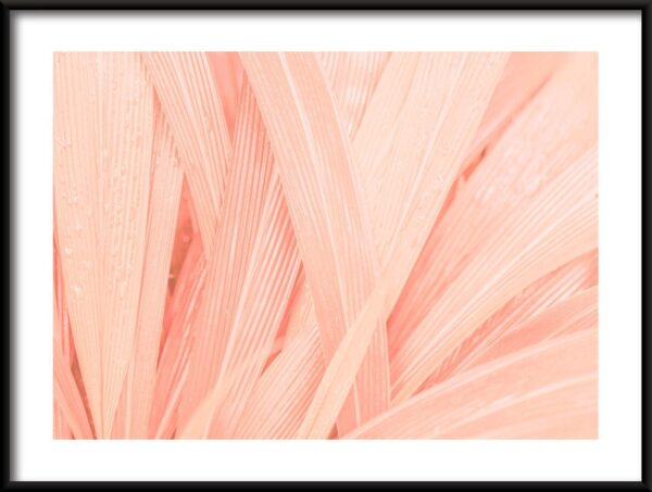 Feuilles roses Poster