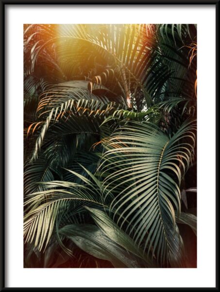 Palm Light Poster