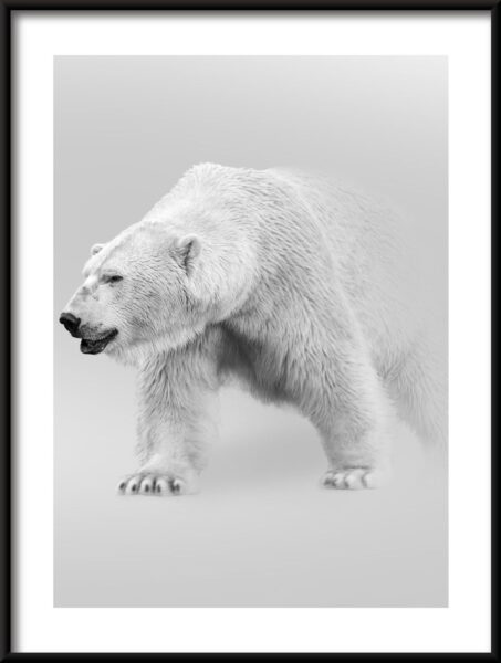 Affiche ours polaire – Image 3