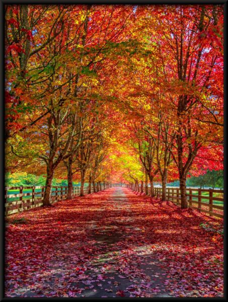 Affiche de route d'automne – Image 4