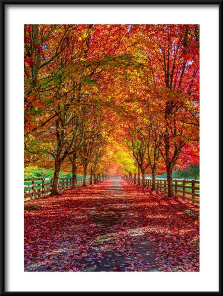 Affiche de route d'automne – Image 3