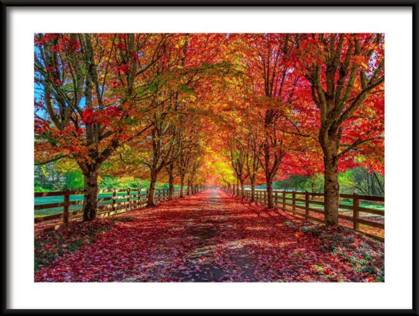 Affiche de route d'automne