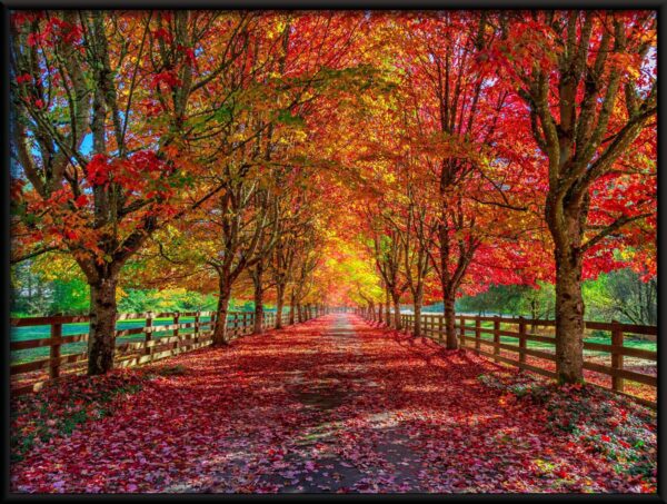 Affiche de route d'automne – Image 2