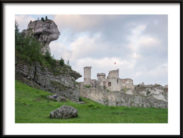 Château d'Ogrodzieniec