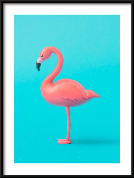 Affiche de profil Flamingo