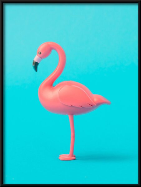 Affiche de profil Flamingo – Image 2