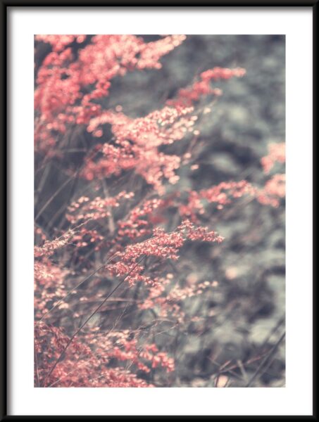 Affiche d'herbe rose – Image 3