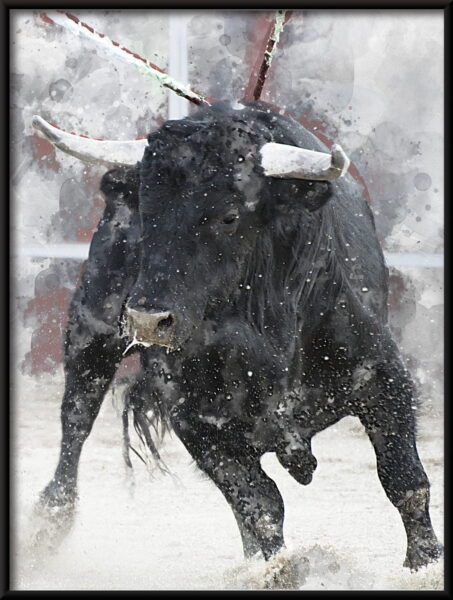 Affiche Bull Corrida – Image 4