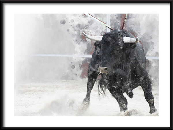 Affiche Bull Corrida