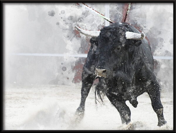 Affiche Bull Corrida – Image 2