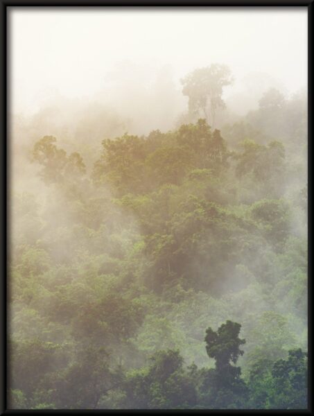 Forêt derrière le brouillard Poster – Image 4