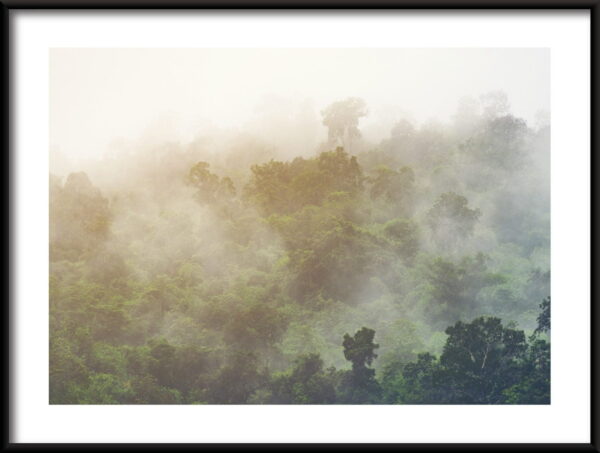Forêt derrière le brouillard Poster