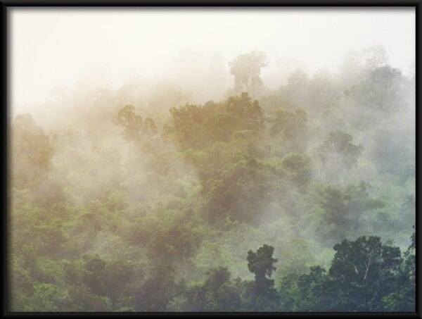 Forêt derrière le brouillard Poster – Image 2