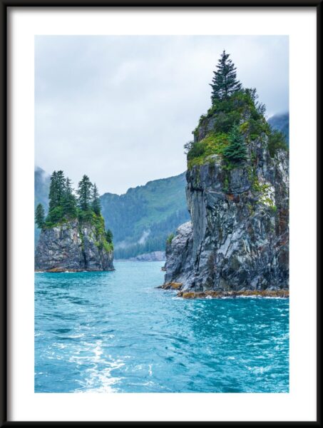 Arbre sur les rochers Poster – Image 3