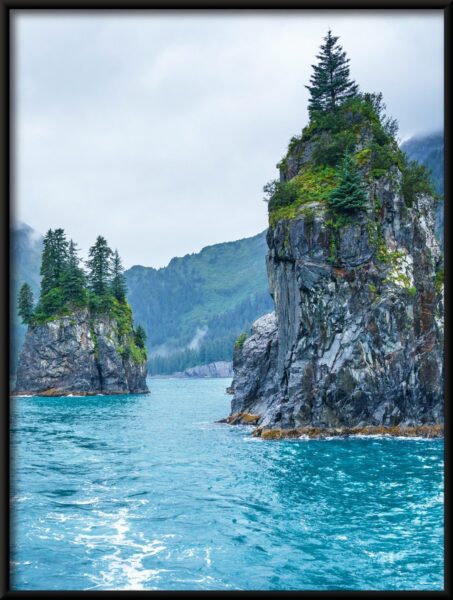 Arbre sur les rochers Poster – Image 4