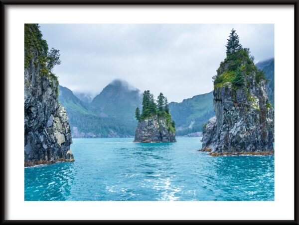 Arbre sur les rochers Poster