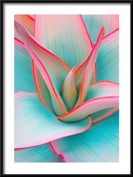 Agave Pastel Poster – Image 3