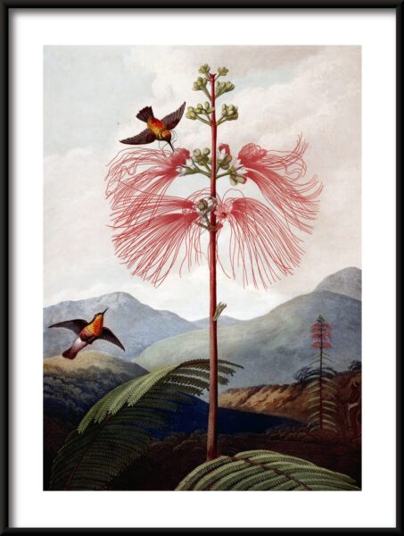 Arbre paradisiaque Poster