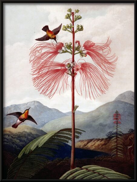 Arbre paradisiaque Poster – Image 2