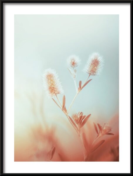 Plantez dans le brouillard Poster