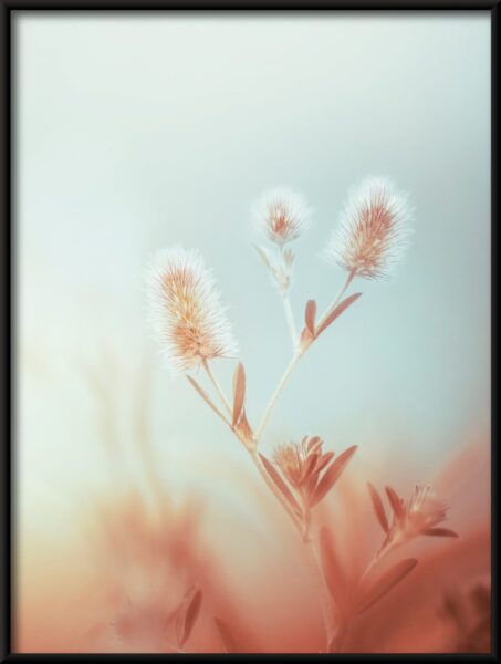 Plantez dans le brouillard Poster – Image 2