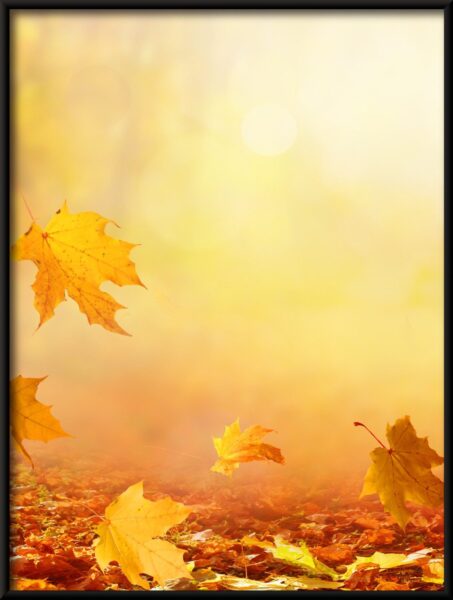 Feuilles qui tombent Poster – Image 4