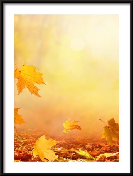 Feuilles qui tombent Poster – Image 3