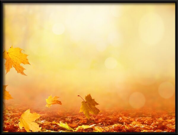 Feuilles qui tombent Poster – Image 2
