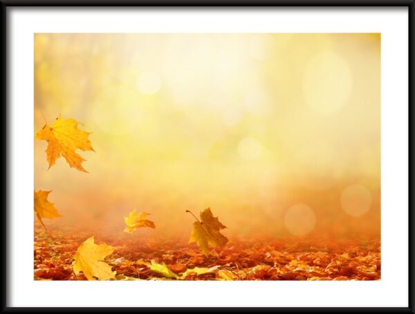 Feuilles qui tombent Poster