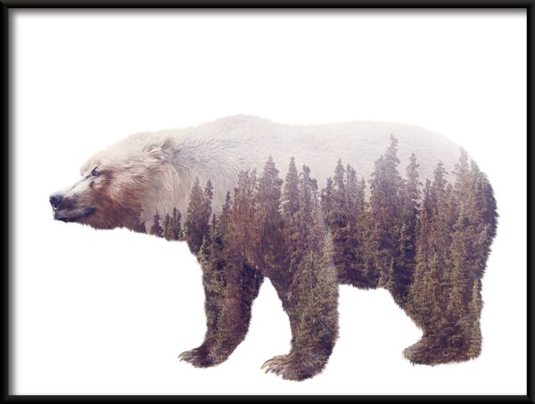Affiche ours sauvage – Image 2