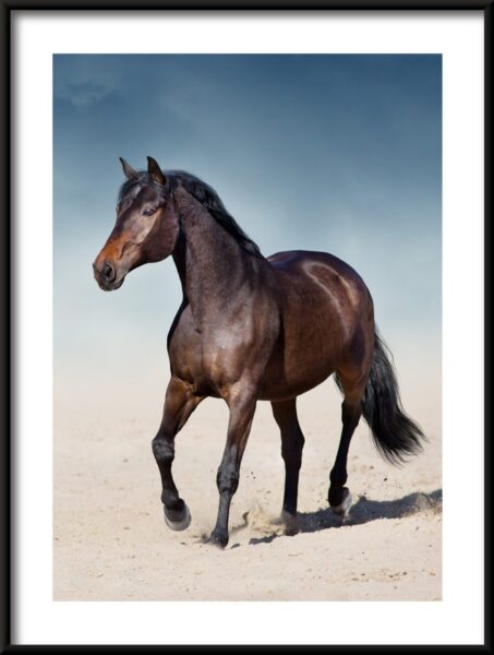 Cheval sur le sable Poster – Image 3