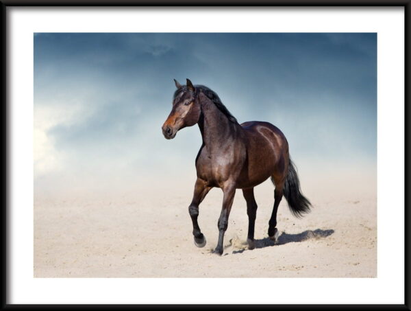 Cheval sur le sable Poster