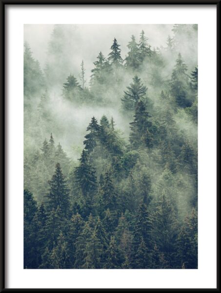 Brouillard parmi les arbres Poster – Image 3